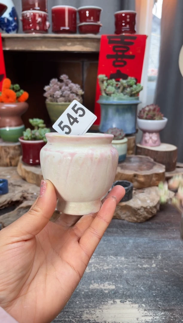 【闪购商品】摆件545知木小芳花盆
