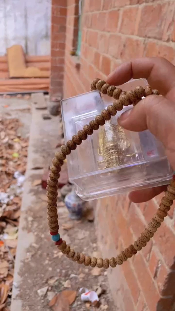 菩提根/象牙果吊坠精品好物 好物菩提