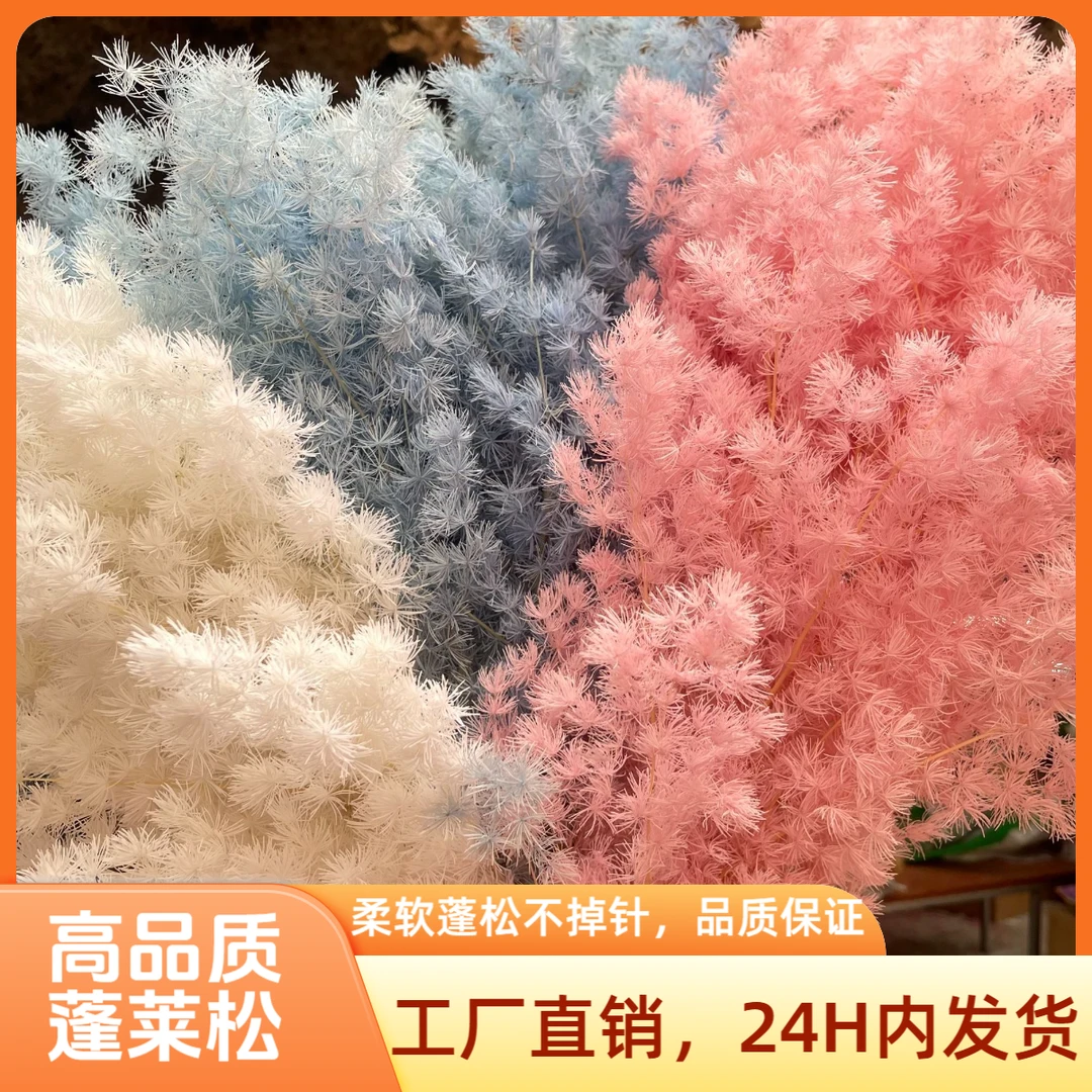 永生蓬莱松清新白色梦幻手工花材适合花店插花保鲜观赏