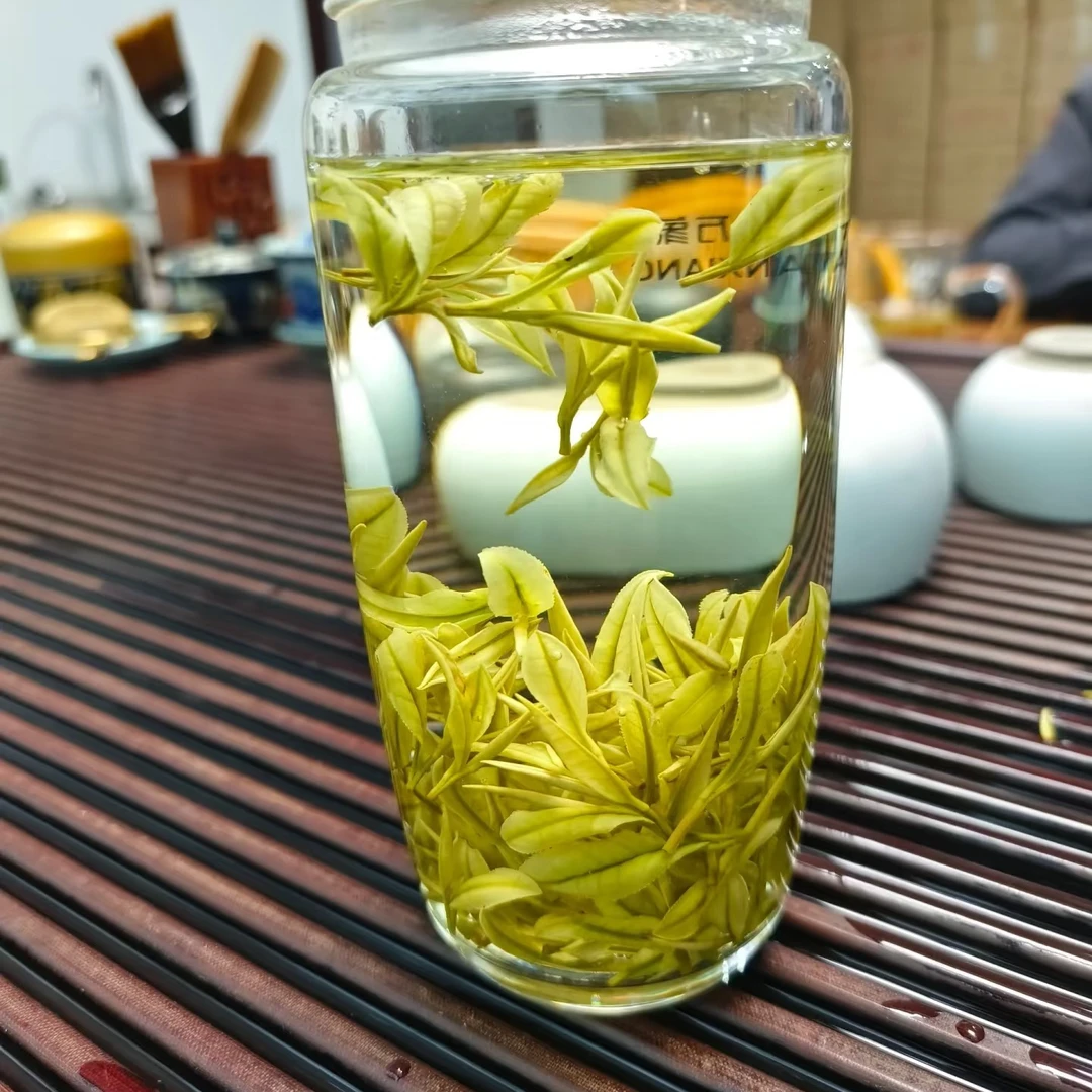 2025 A10 浓香耐泡安吉白茶昆铜高山茶