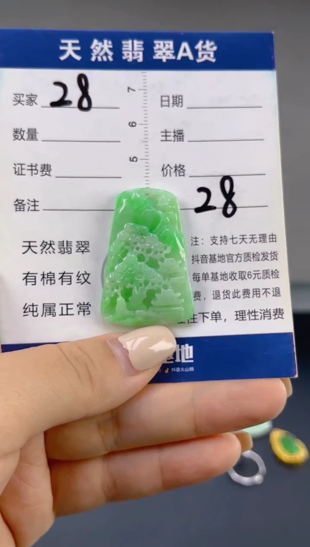 翡翠未镶嵌颈饰天然A货翡翠   28