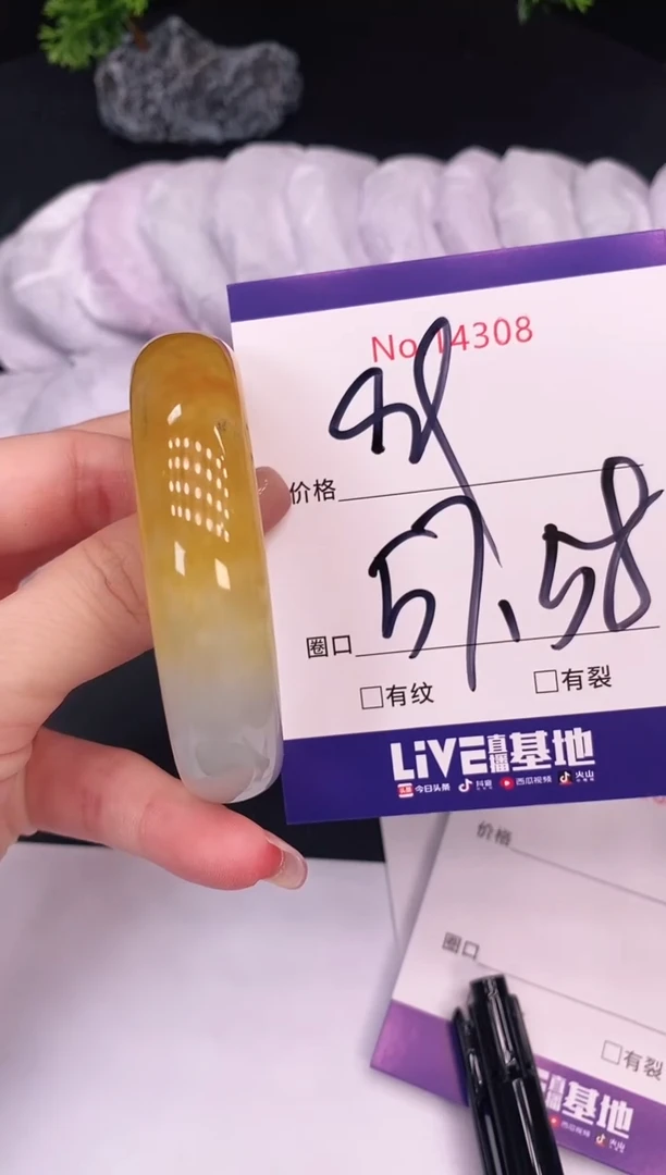 未镶嵌手镯翡翠14308