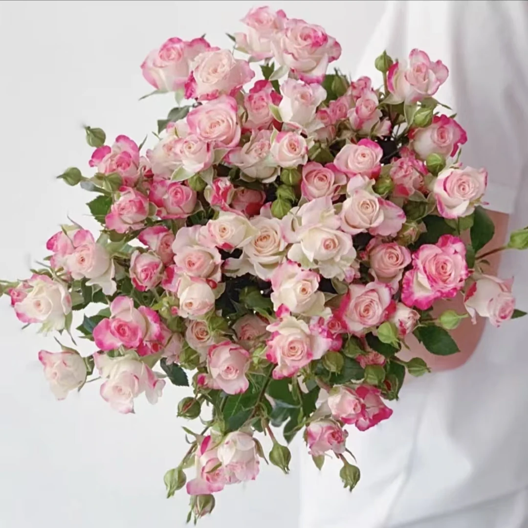 【小情人折射】基地直发拍二单发顺丰/京东 鲜花直播间现场直播卖花