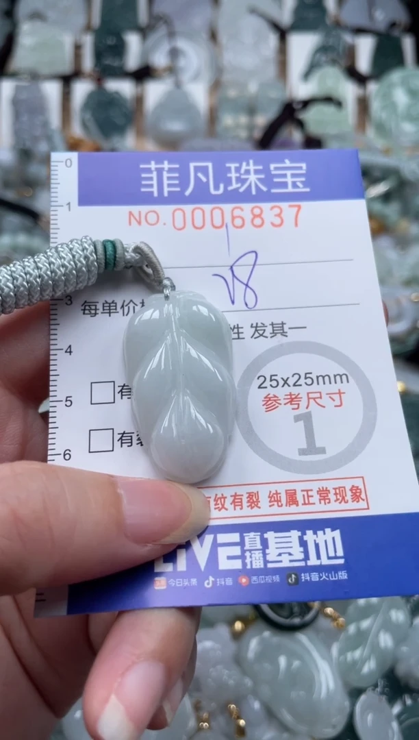 翡翠未镶嵌颈饰00..6837