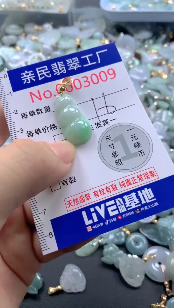 颈饰未镶嵌翡翠3009