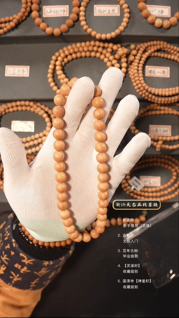 【闪购商品】五线菩提吊坠手持