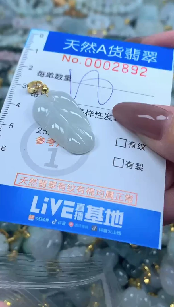 颈饰未镶嵌翡翠净货挂件-2892