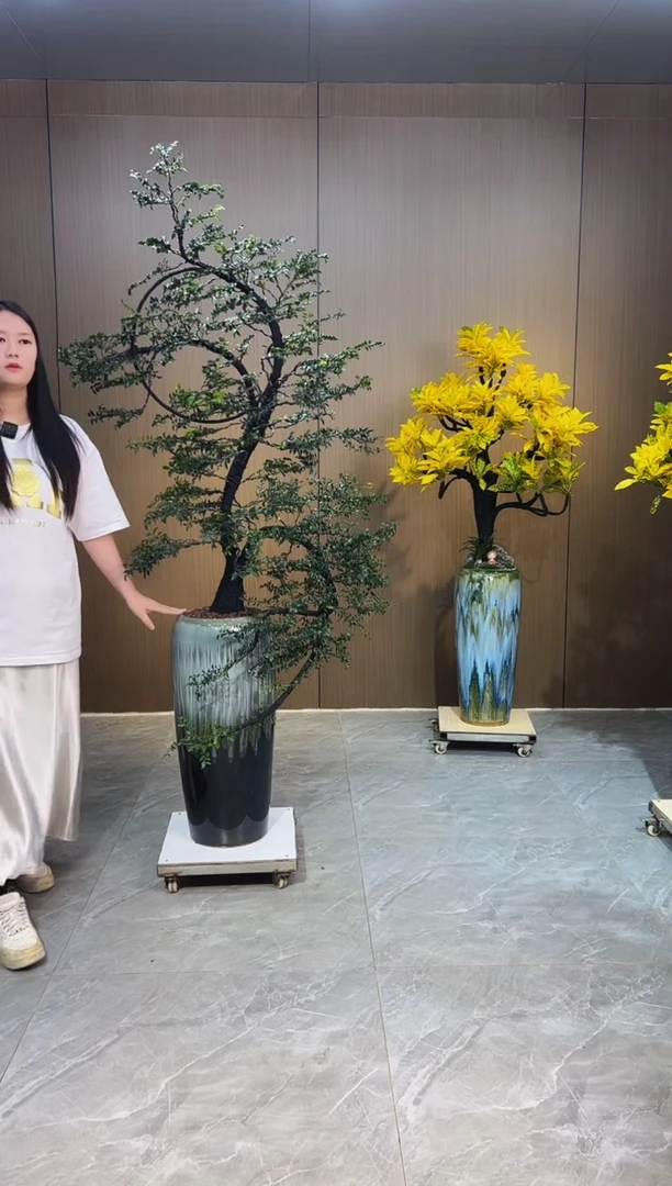 无花朵J****陈大-灰盆-小叶紫檀
