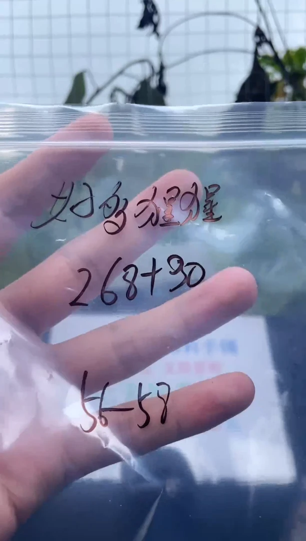 非金属无好***呀手镯下单链接一单一付