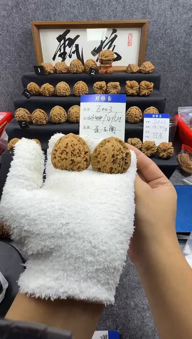 把件文玩核桃E003 43尺 歪三角