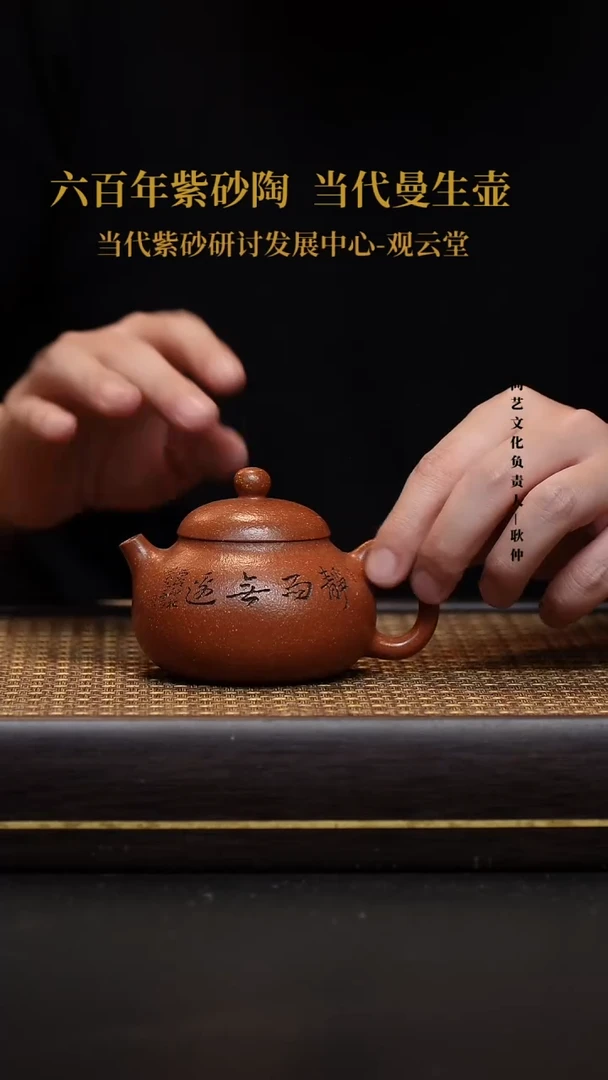 茶壶紫砂宜兴紫砂壶文旦