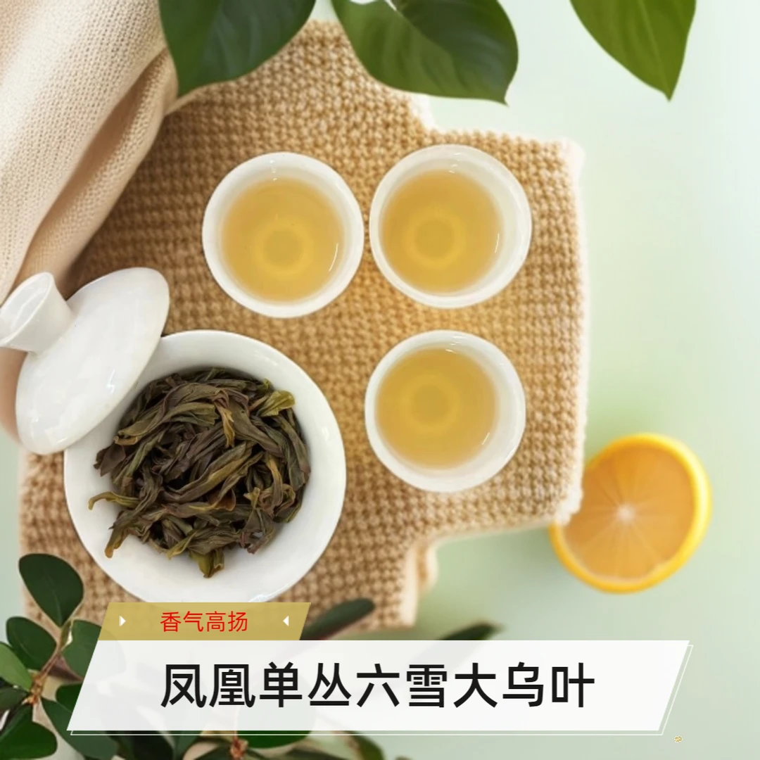 2025凤凰单丛六雪大乌叶单丛茶香气高扬回甘好茶农潮州凤凰单丛茶