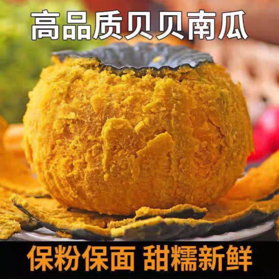 【坏果包赔】沙地贝贝南瓜板栗味露天种植粉糯香甜适合孕妇宝宝辅食