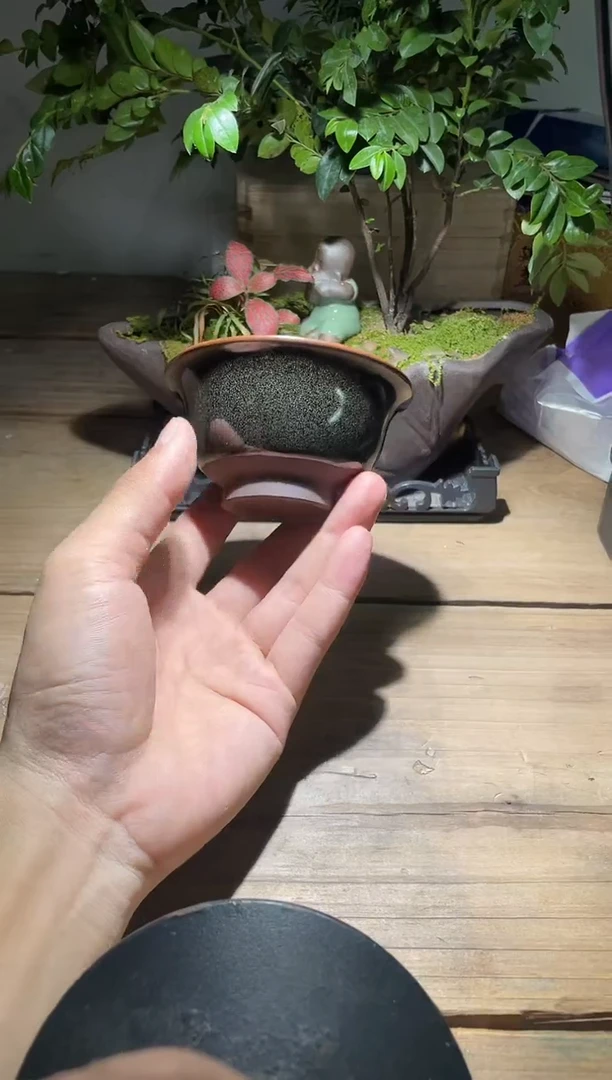 茶盏老木头精选茶器54