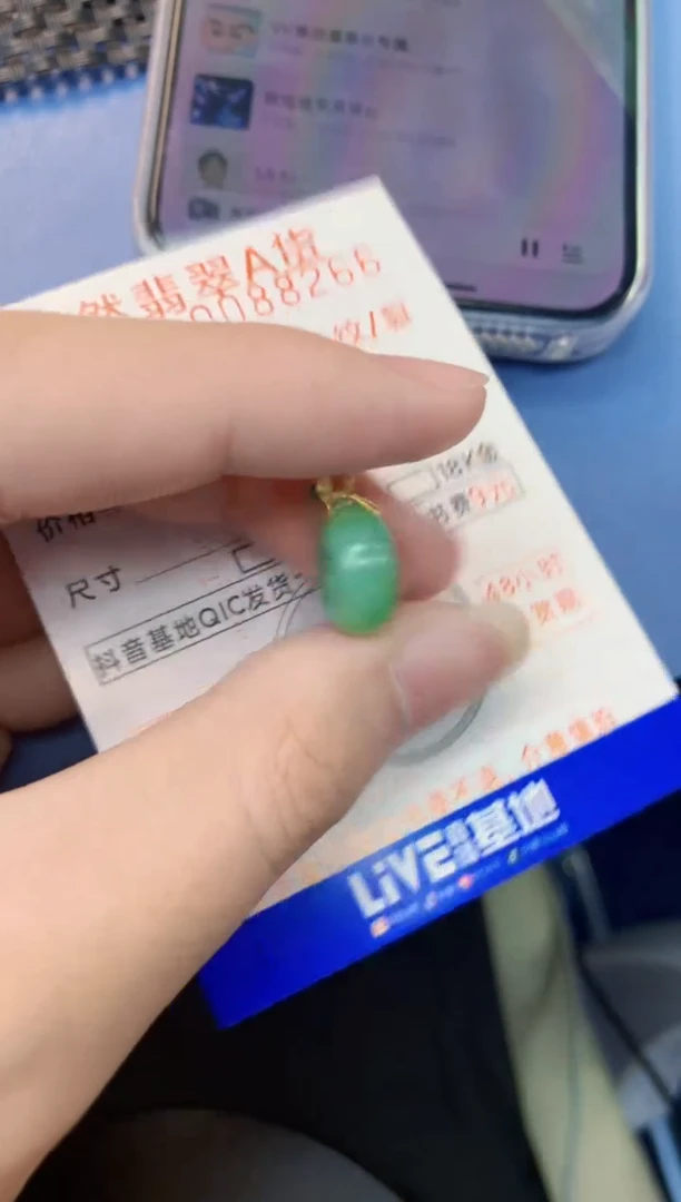 翡翠未镶嵌颈饰           1