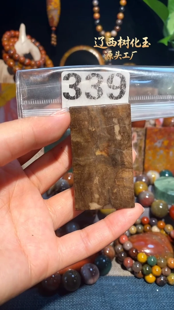 未镶嵌-硅化玉天然北票硅化玉吊坠