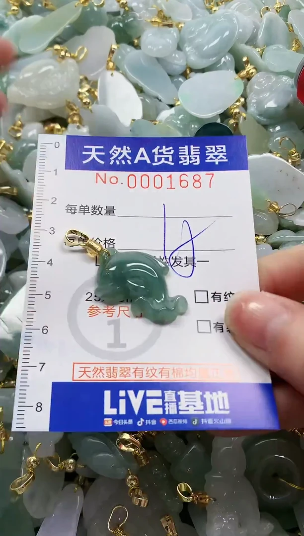 颈饰未镶嵌翡翠纯天然a货翡翠