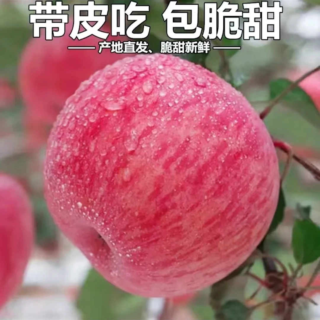 【烟台高山红富士】苹果新鲜皮薄肉厚脆甜多汁