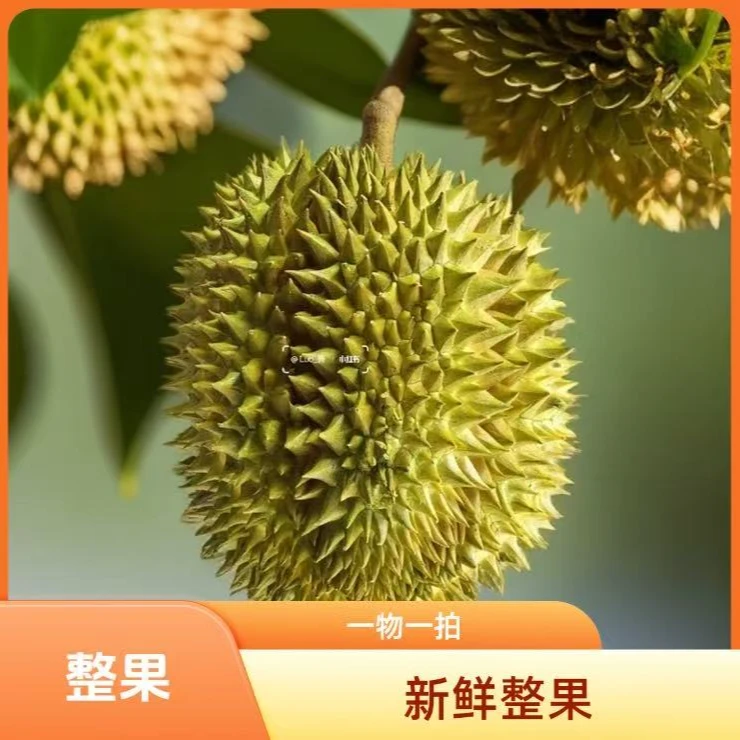 7号 整果不包个人口感【新鲜榴莲 树熟整果【市斤】一物一拍，大核小核随机金枕榴莲金枕金枕泰国越南