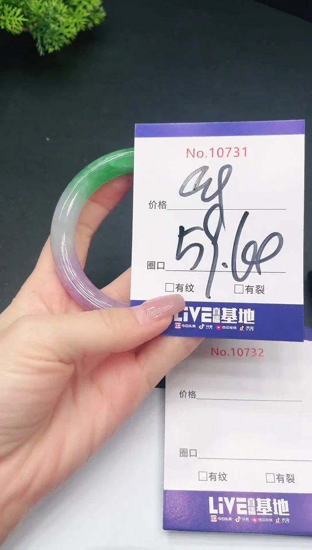 未镶嵌手镯翡翠10731