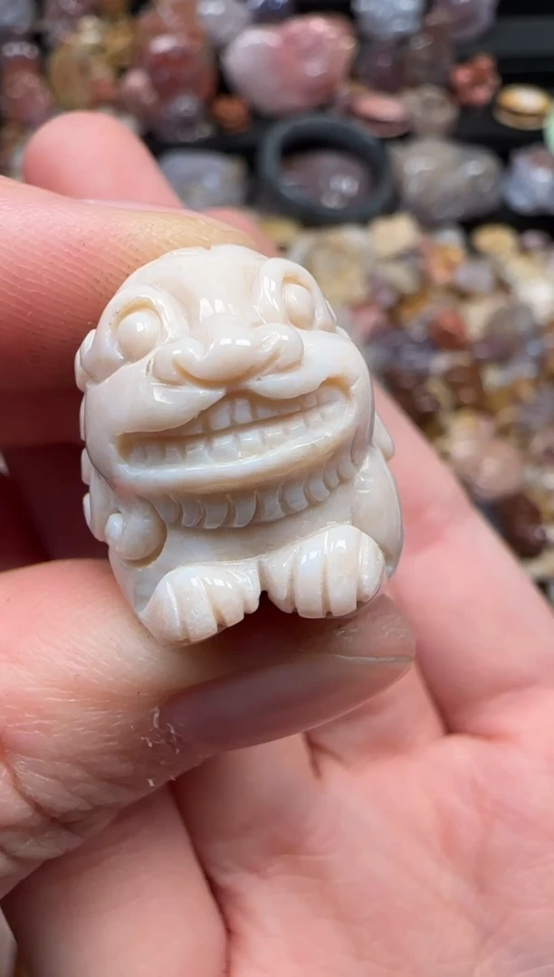 颈饰未镶嵌硅化珊瑚（珊瑚玉）542