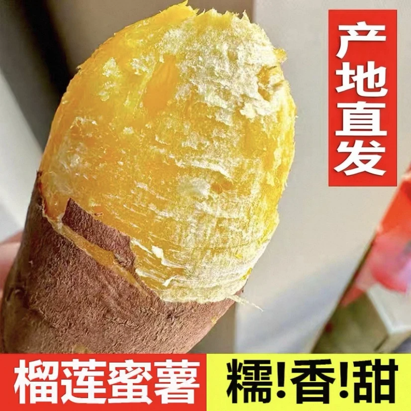【中通助农】正宗云南榴莲蜜薯红薯新鲜现挖软糯香甜地瓜番薯