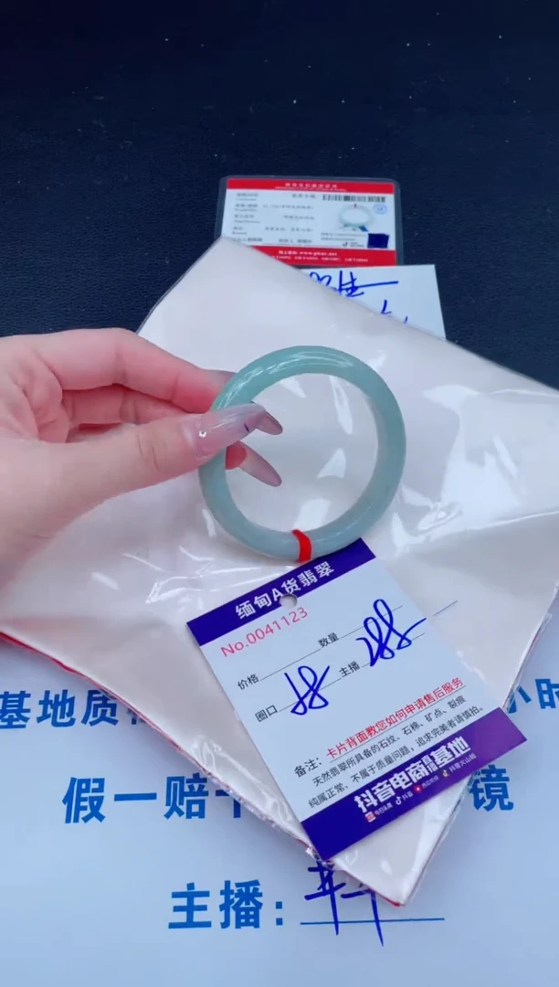 未镶嵌手镯翡翠288