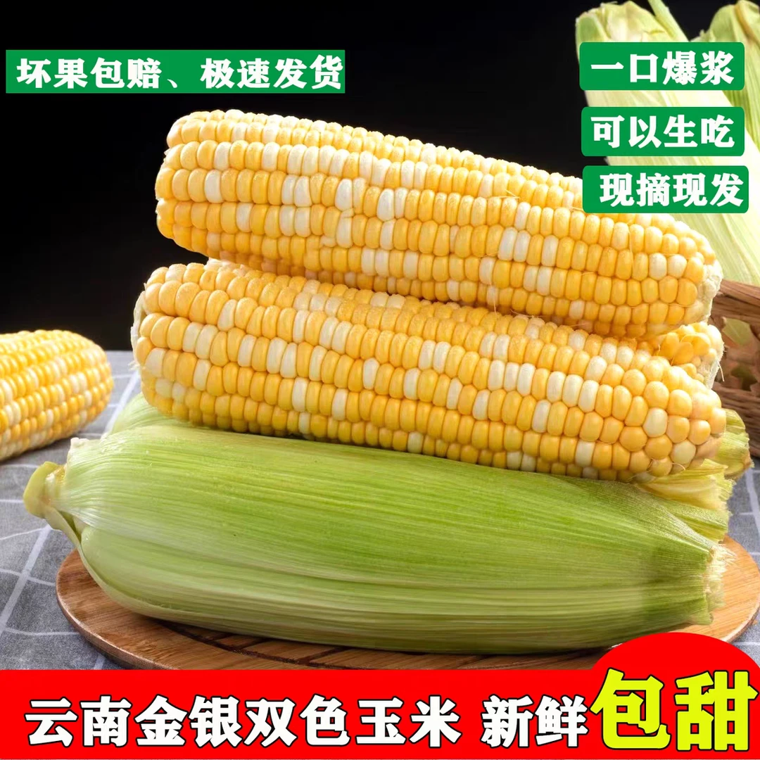 云南新鲜现摘金银水果甜玉米鲜嫩甜脆可生吃