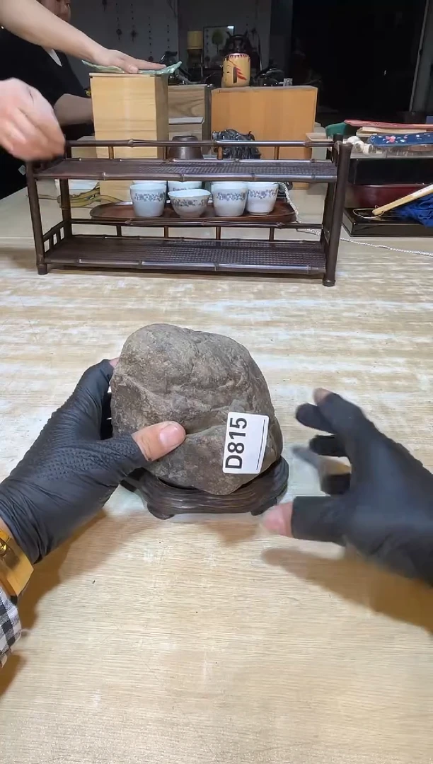 直播定闪哈哈哈哈直播定闪哈哈哈哈哈哈