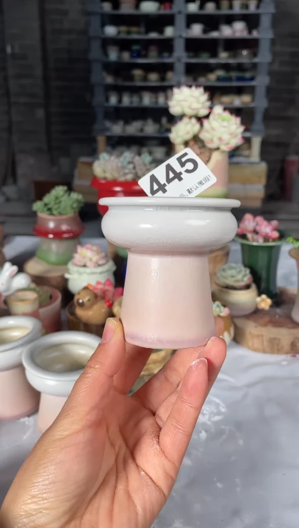 瓷片445小芳直播编号