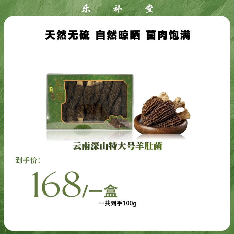 云南深山特大号羊肚菌