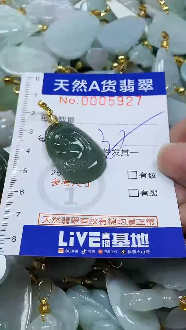 颈饰未镶嵌翡翠纯天然a货翡翠