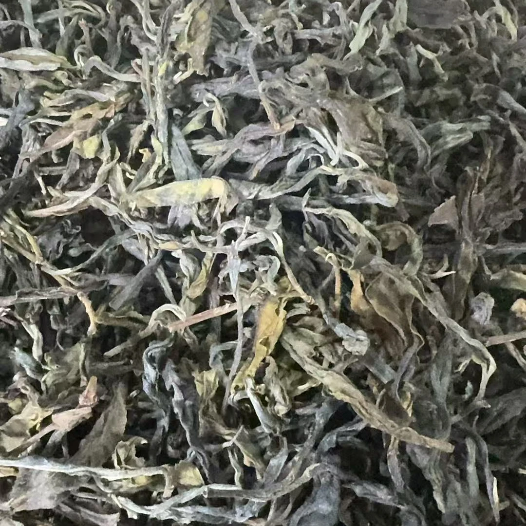 2024年  （正气塘）单株树 生普 散茶 500克/250克  【慧子】