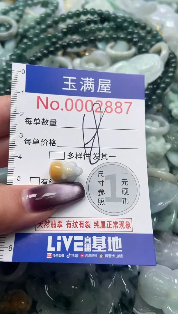 颈饰未镶嵌翡翠2887