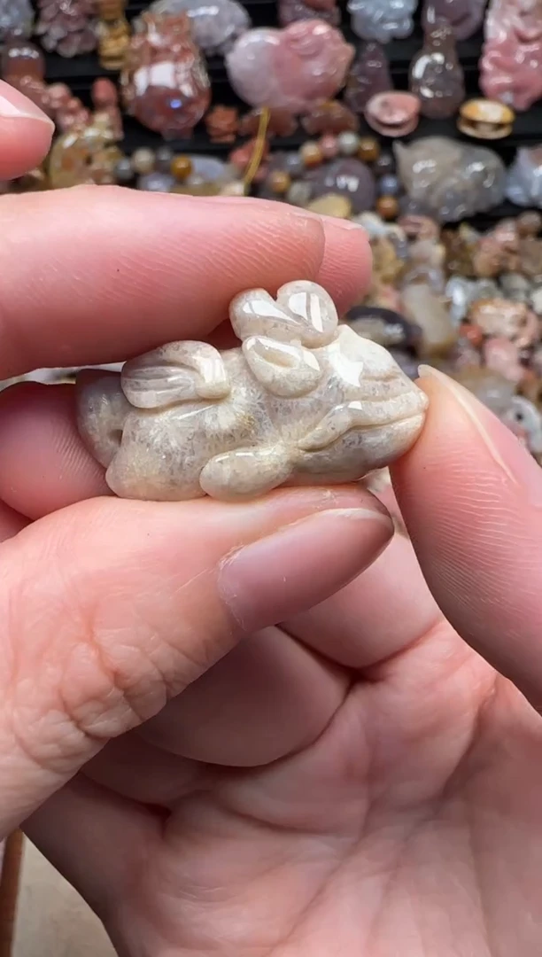 颈饰未镶嵌硅化珊瑚（珊瑚玉）071