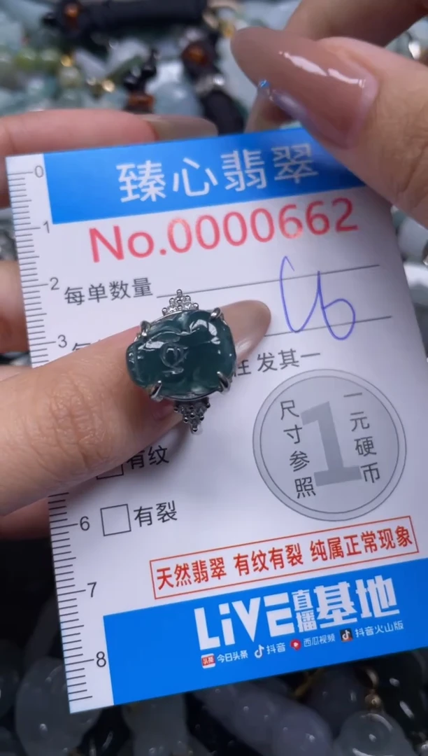 颈饰未镶嵌翡翠662