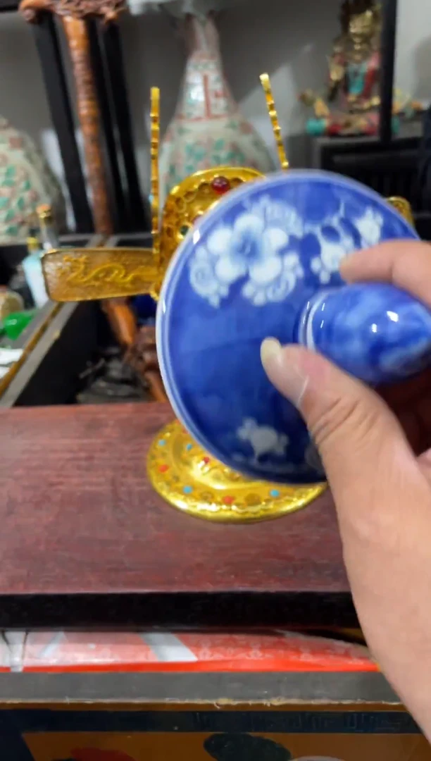 瓷片主播推荐精选好物