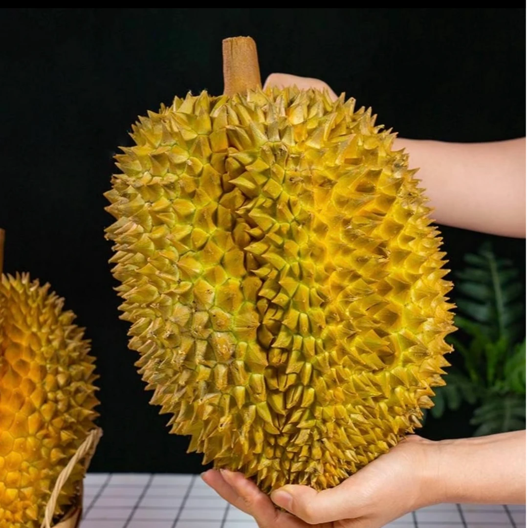 【福利整果】软糯超香甜 泰国树熟金枕鲜榴莲 核小 斤 介意勿拍 不接受差评金枕泰国