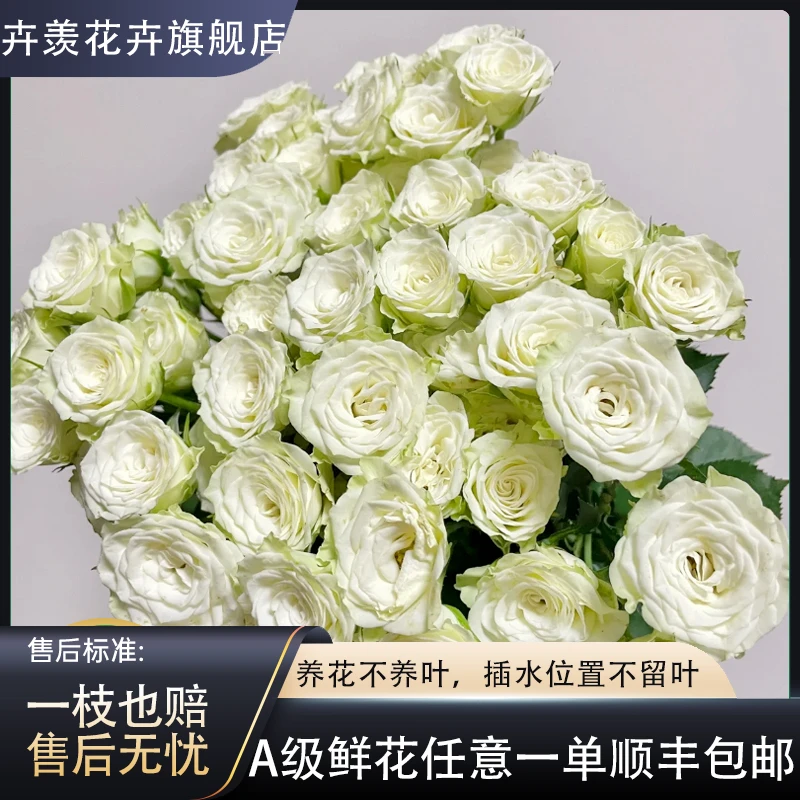 【卉羡】【繁星泡泡】多头玫瑰点缀装饰客厅茶几家具摆件送礼布景