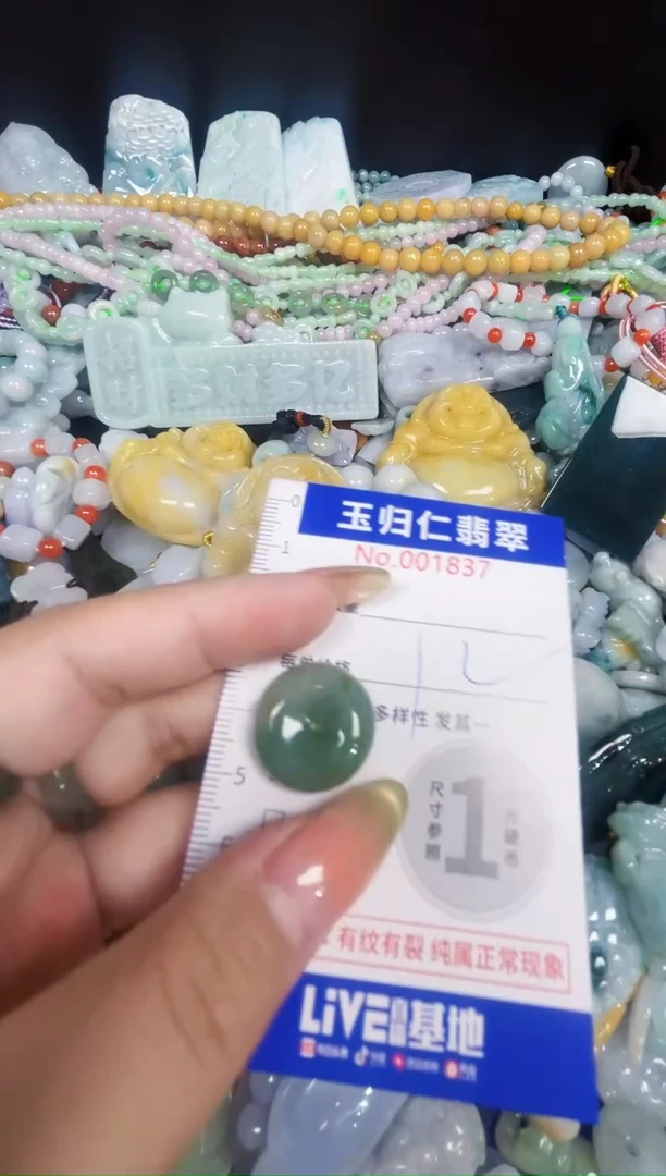 颈饰未镶嵌翡翠130