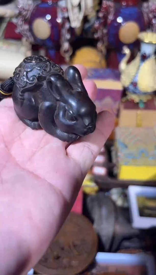 黄杨木11111111111111