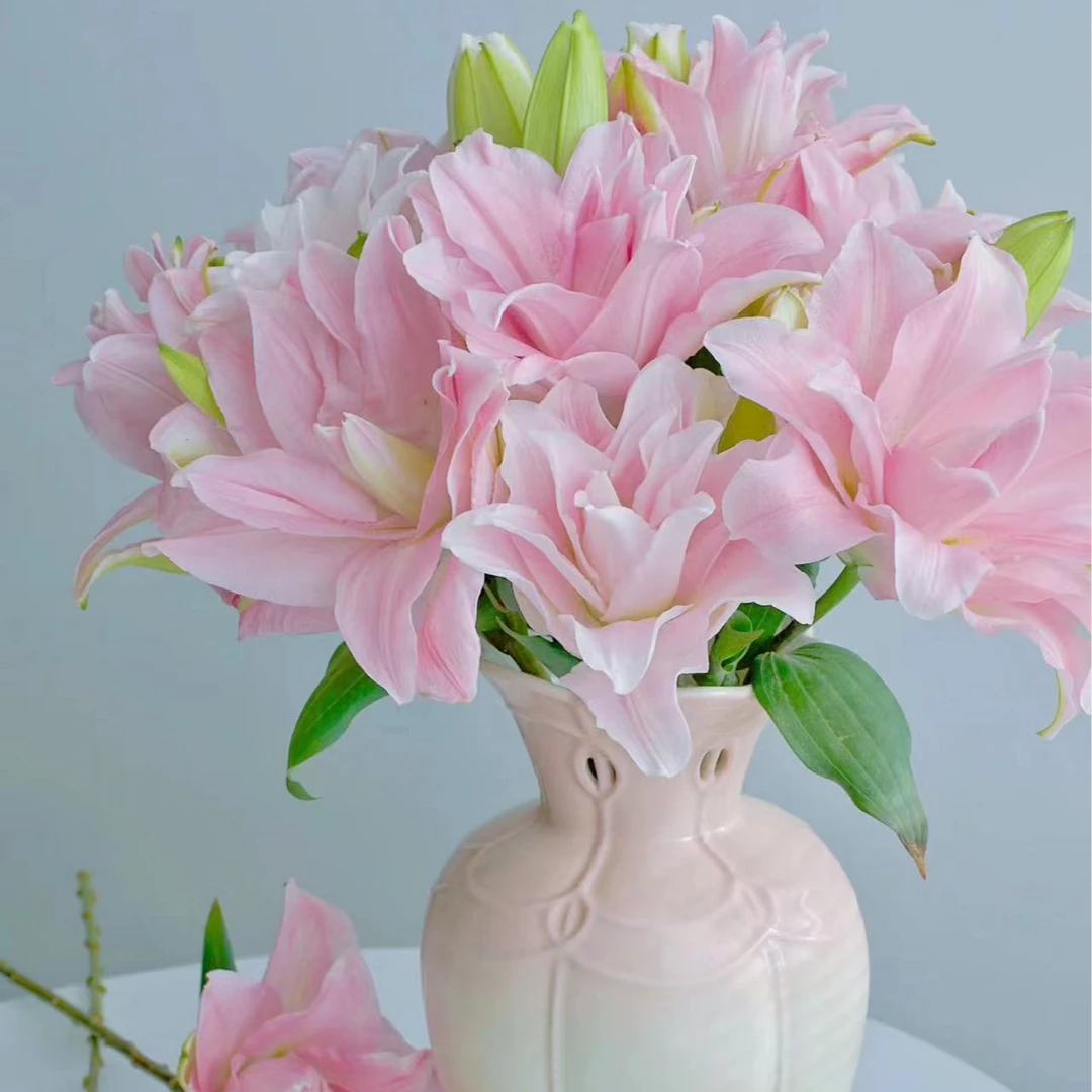 重瓣百合（粉蜜糖贵妃）任意2单升级顺丰/德邦发货后不支持退款