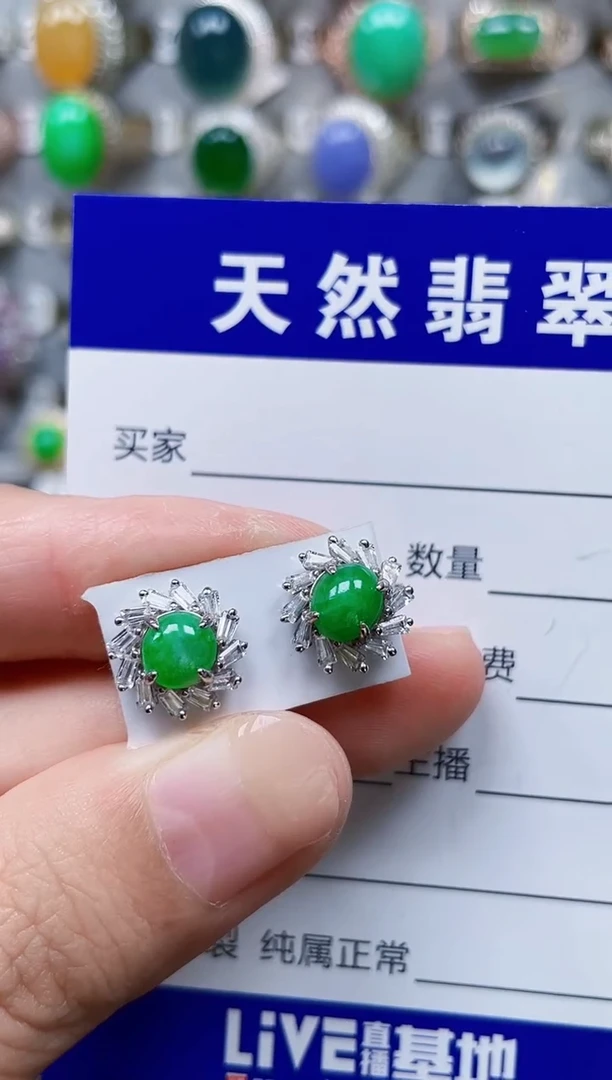 银S925镶嵌翡翠耳饰790