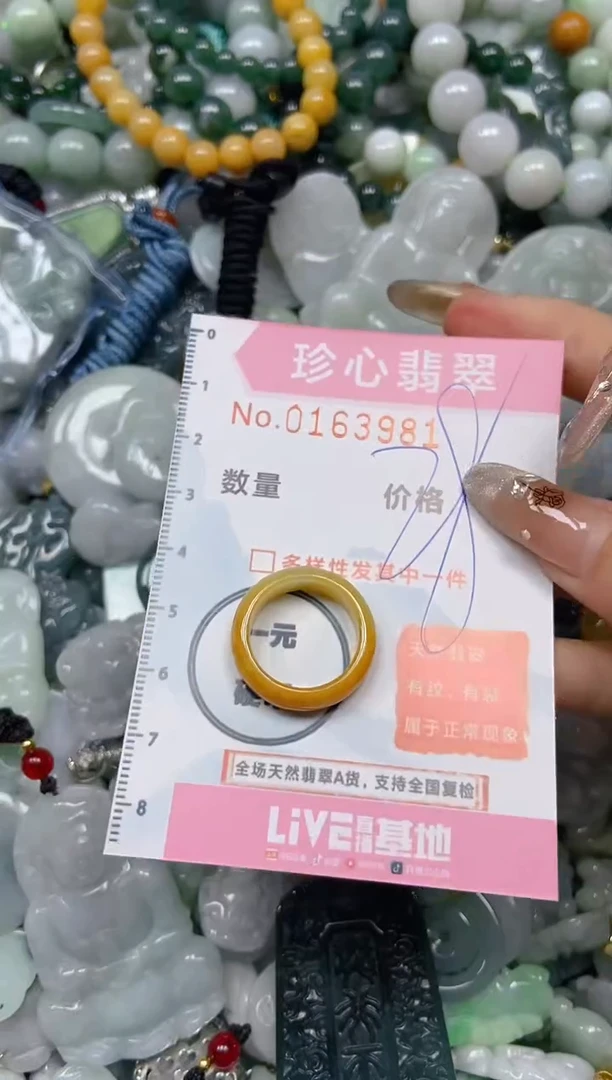 【闪购商品】翡翠颈饰未镶嵌闪购0163981