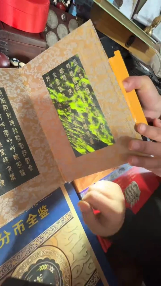 【闪购商品】贝壳摆件撤店清仓好物分享