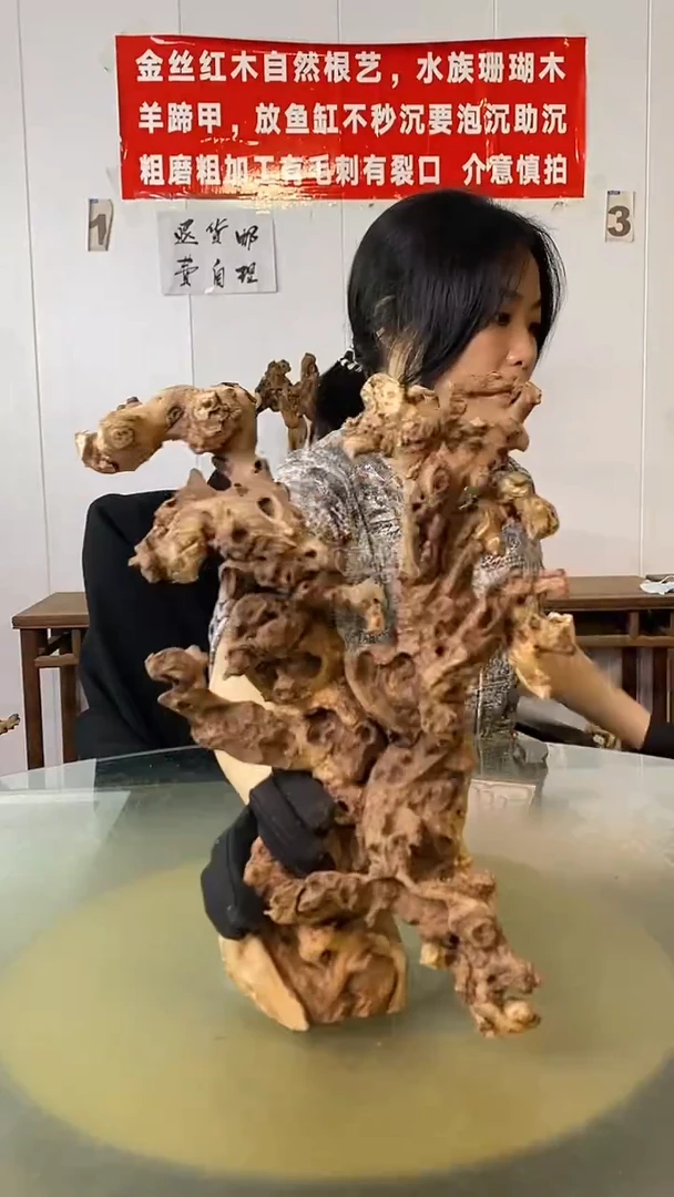 木根**源金丝红木 羊蹄甲