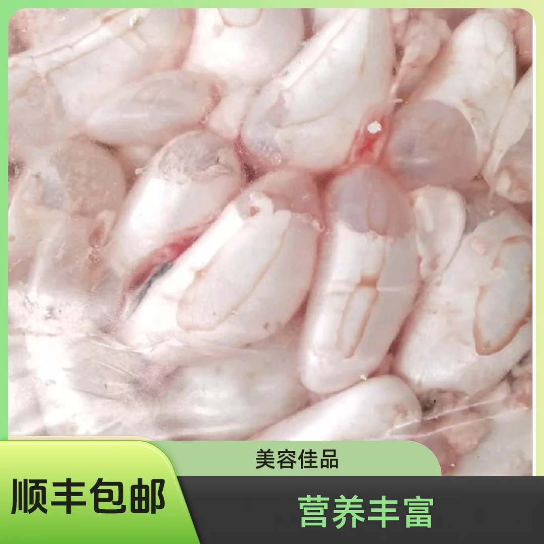 顺丰包邮厂家直销速冻白鲢花莲鲤鱼鱼鳔鱼肚鱼肚鱼泡新鲜批发