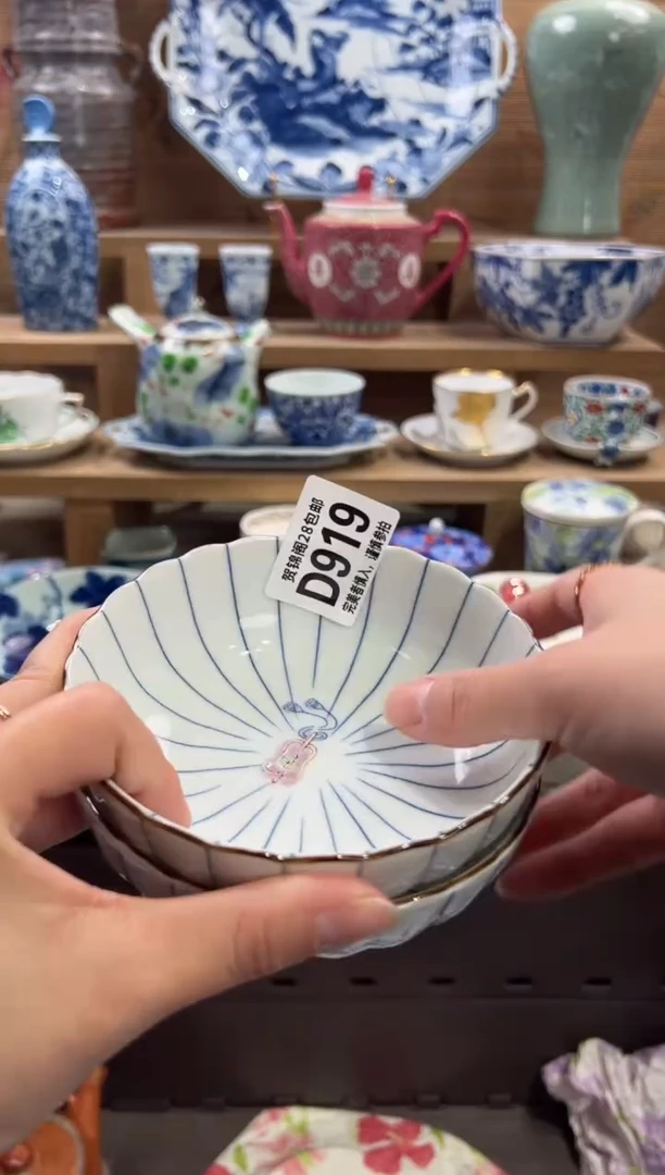 瓷片岩*       D919