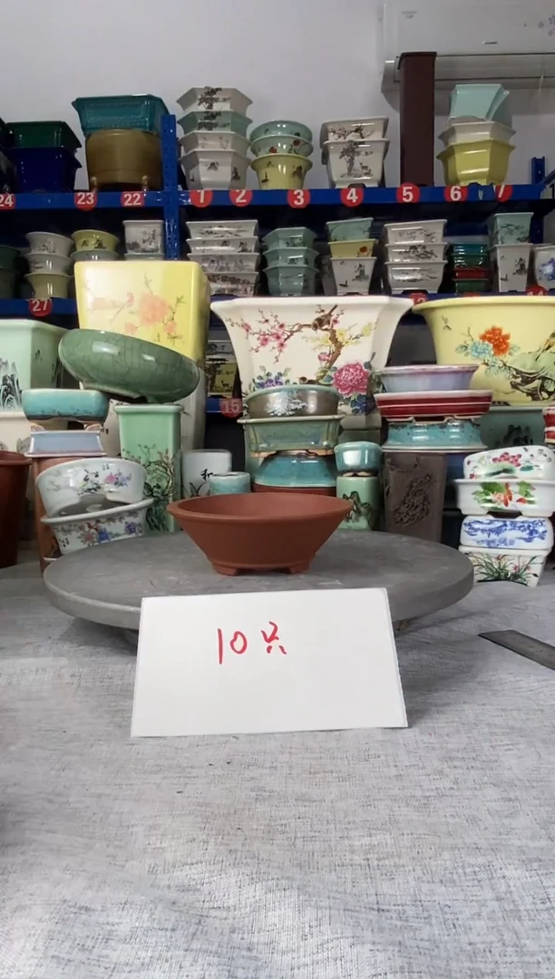 2009十只花盆花盆，主要发红色，有别的颜色就带点