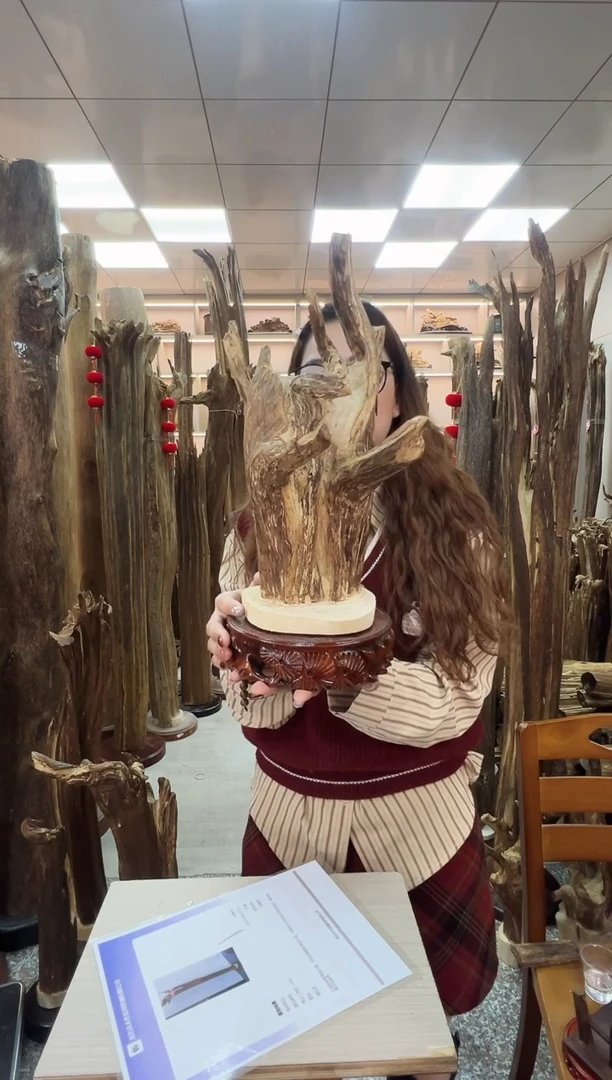 【闪购商品】沉香摆件沉香原料摆件